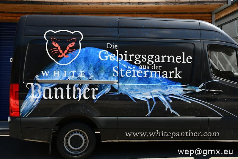 Bild "2026_002.JPG"
